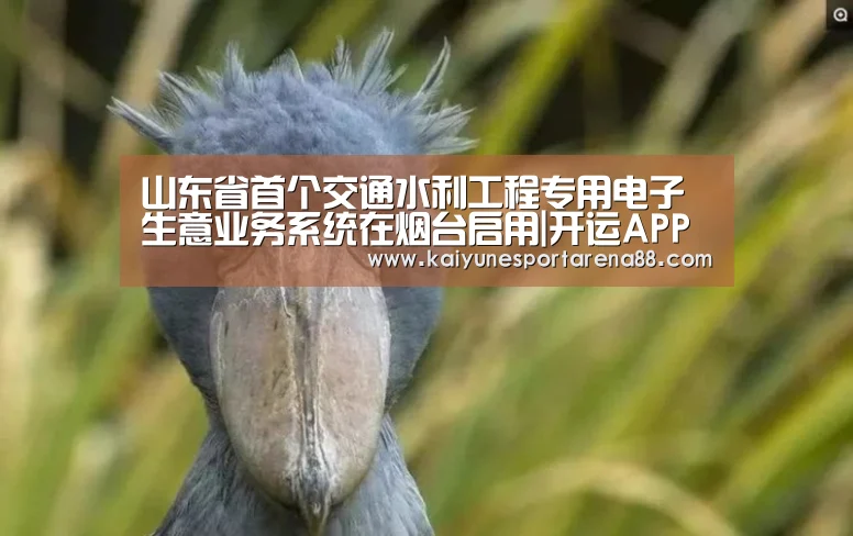 开运娱乐