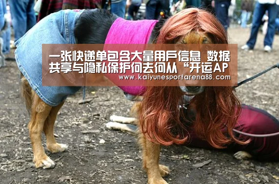 一张快递单包含大量用户信息 数据共享与隐私保护何去何从“开运APP”(图2) 开运官网